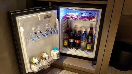 Fridge